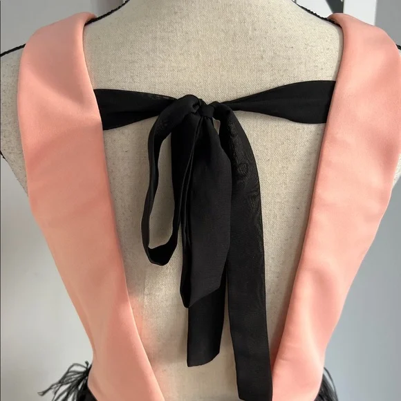 Maia Feathered Dress - Picture 5 of 10